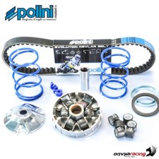 Polini hi-speed variator kit