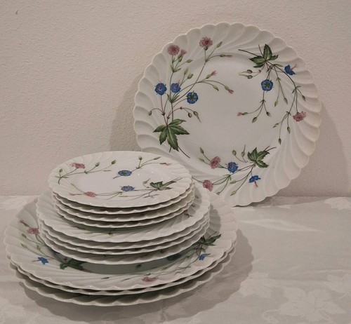 Set piatti haviland - haviland, limoges