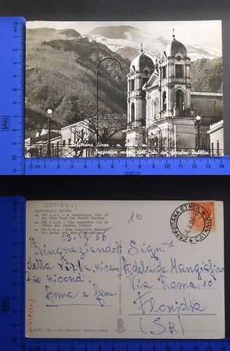 Zafferana etnea - etnea,