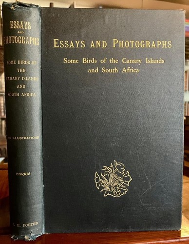 1901 essays photographs - &,