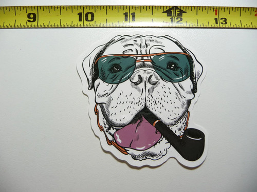 Occhiali sole bulldog - occhiali, da