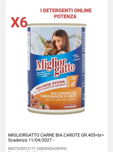 Scatolette per gatti - scatolette,