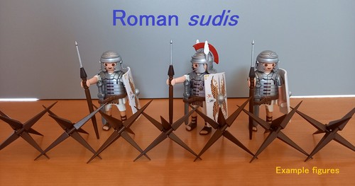 Roman sudis - roman, sudis,