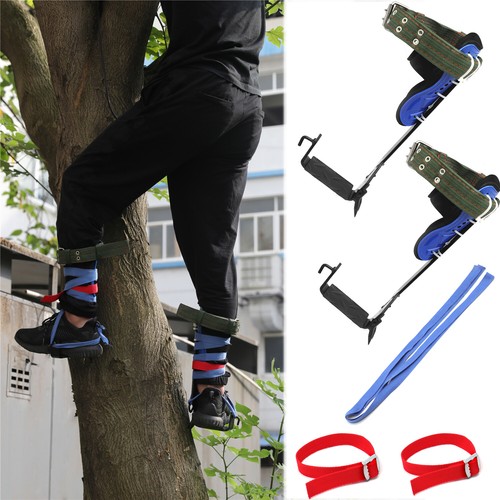 Set punte arrampicata albero