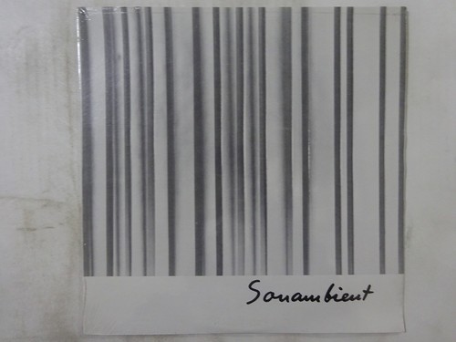 Bertoia continuum near - continuum, /