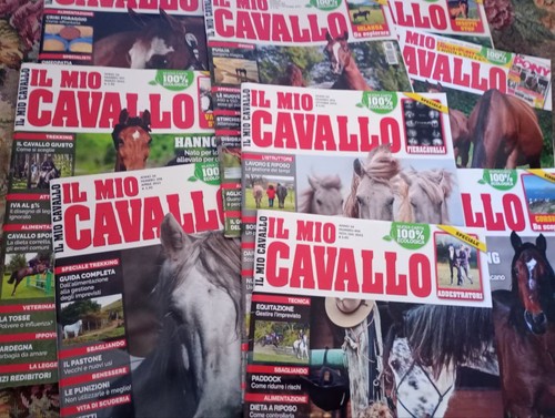 Mio cavallo 2023 9 numeri - 2023,