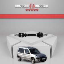 SEMIASSE ANTERIORE SINISTRA