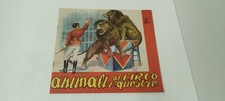 ANIMALI AL CIRCO EQUESTRE -