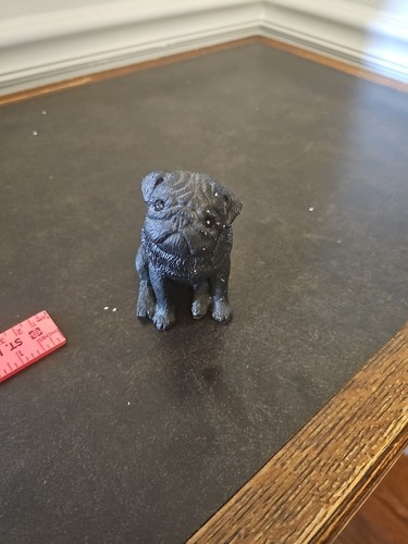 Sandicast pug breed dog - sandicast,