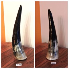 CORNO bue africano originale