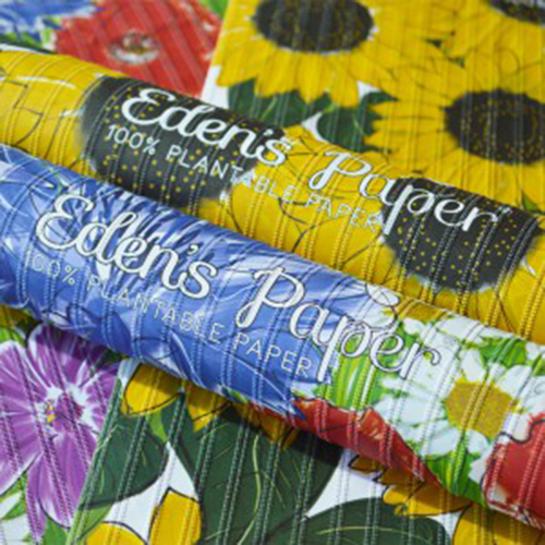 Carta regalo eden s - 3x, da