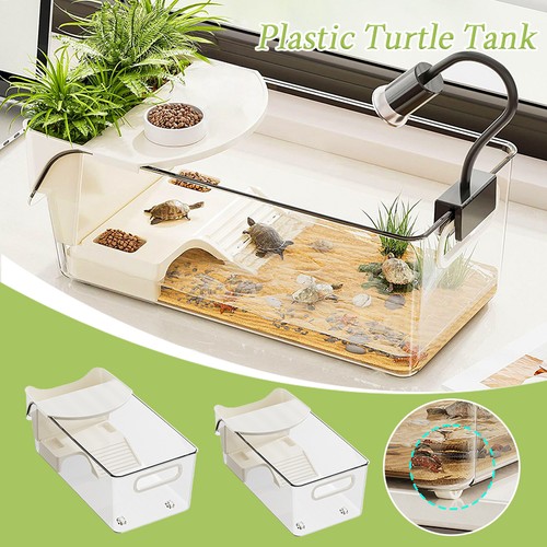Turtle tank terrario - turtle,