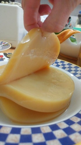 Kombucha tè verde scoby e - tè,