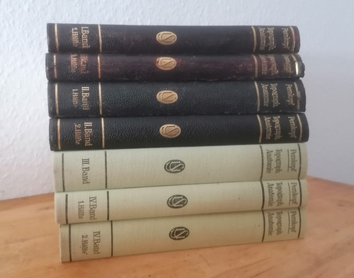 Eduard pernkopf anatomia - pernkopf,