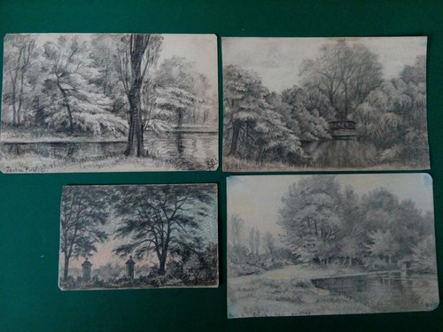 Alberi lotto di 4 - alberi,
