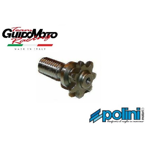 Pignone mini moto polini - pignone, z.7