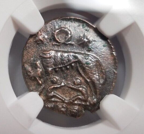 Gemelli lupo costantiniani ngc - gemelli,