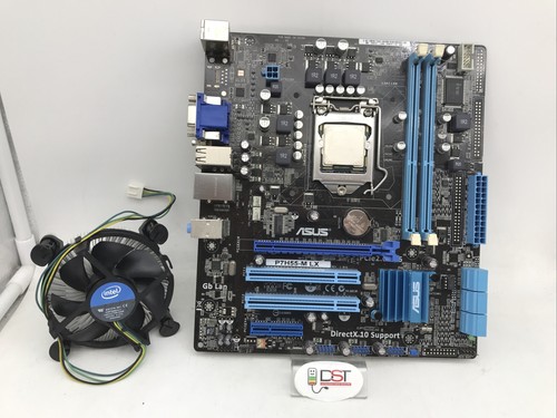 Scheda madre asus - scheda, lx