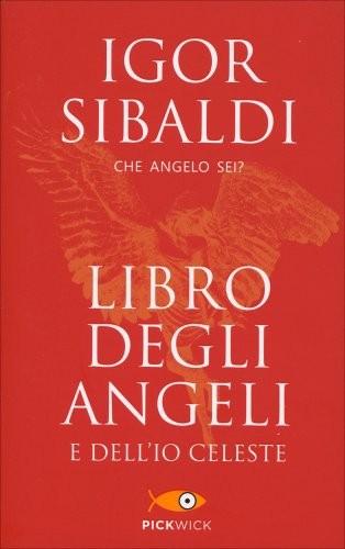 Libro degli angeli dell io - libro,