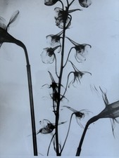 Radiografie General Electric