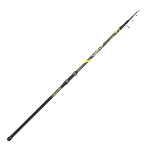 Canna surcasting tubertini - surcasting,