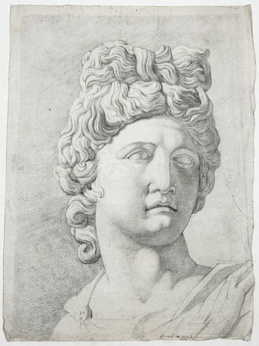 Apollo belvedere apollon - apollo, di
