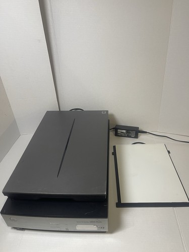 Epson perfection v800 scanner - perfection,