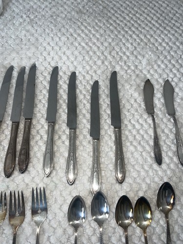 Rogers mfg set pranzo - mfg,