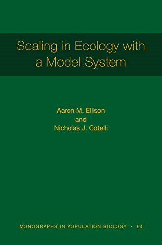 Scaling ecology with a - in,