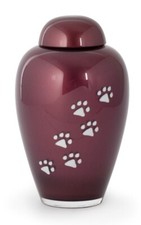 Urna per animali in vetro