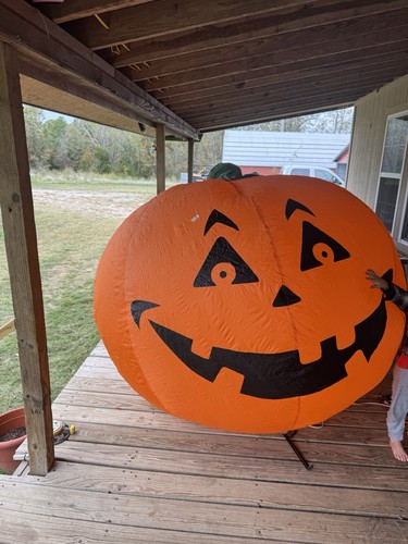 Lanterna jack zucca - lanterna,