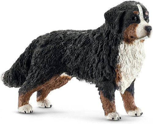Bovaro bernese femmina - bernese,