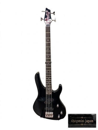 Washburn 1250 pat badger - pat,