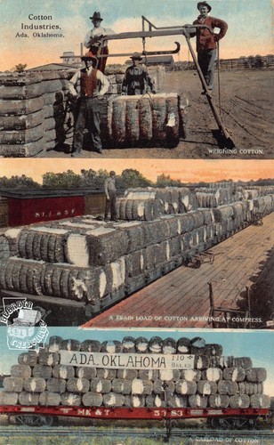 OK~OKLAHOMA~ADA~COTTON
