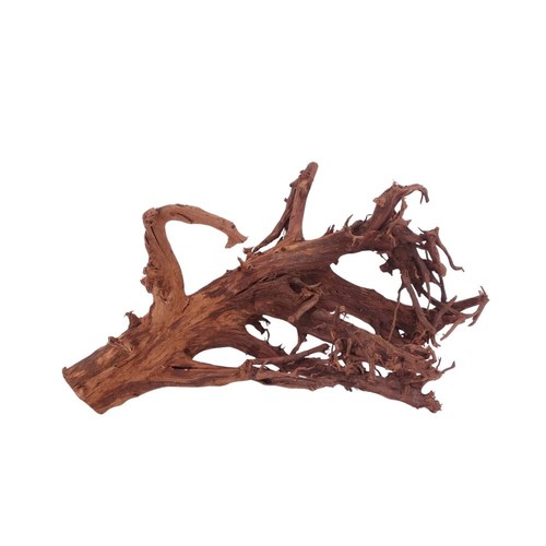 Decorazione radice acquario - , l