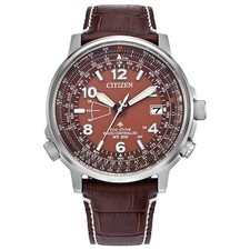 Citizen Men's Perpetual Date