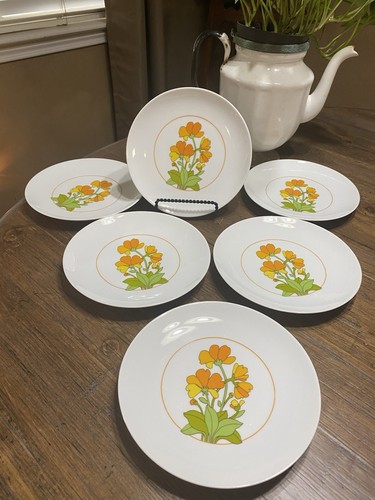 Set piatti pane - 6,