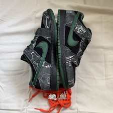 Nike SB Dunk There skateboard