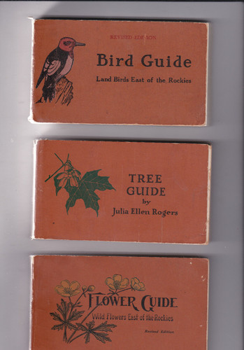 Nature guides birds east - guides:,