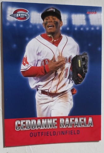 2022 greenville drive team set - drive,
