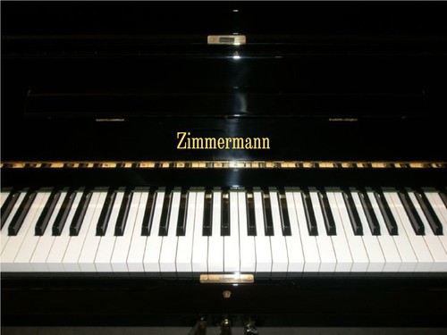 Adesivo zimmermann oro - adesivo,