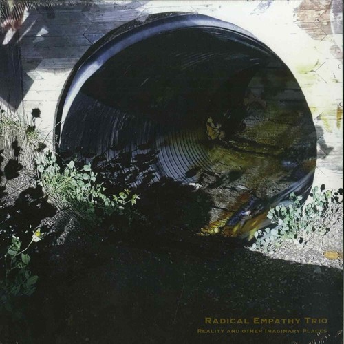 Radical empathy trio reality - radical,