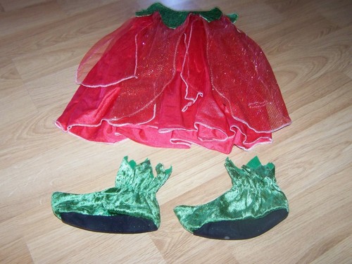 Costume halloween fata fragola - costume,