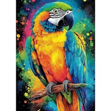 DAERLE DIY Kit pittura