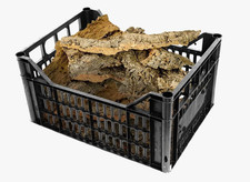 Cassetta Corteccia Sughero 100% Naturale, Made in Italy per Presepe Fai Da Te, B