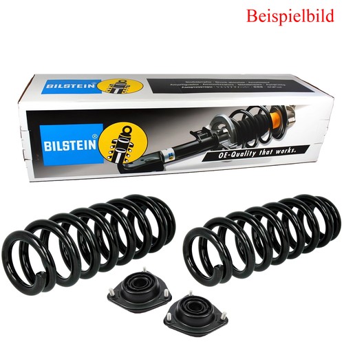 Bilstein molla di - bilstein,