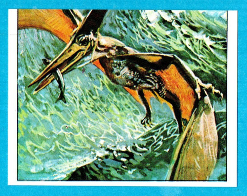 DINOSAURS/ANIMALI