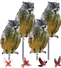 Dissuasore Piccioni, 4 Pezzi