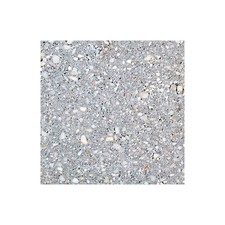 Pavimento In Cemento