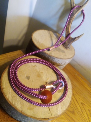Guinzaglio scivolo cane
